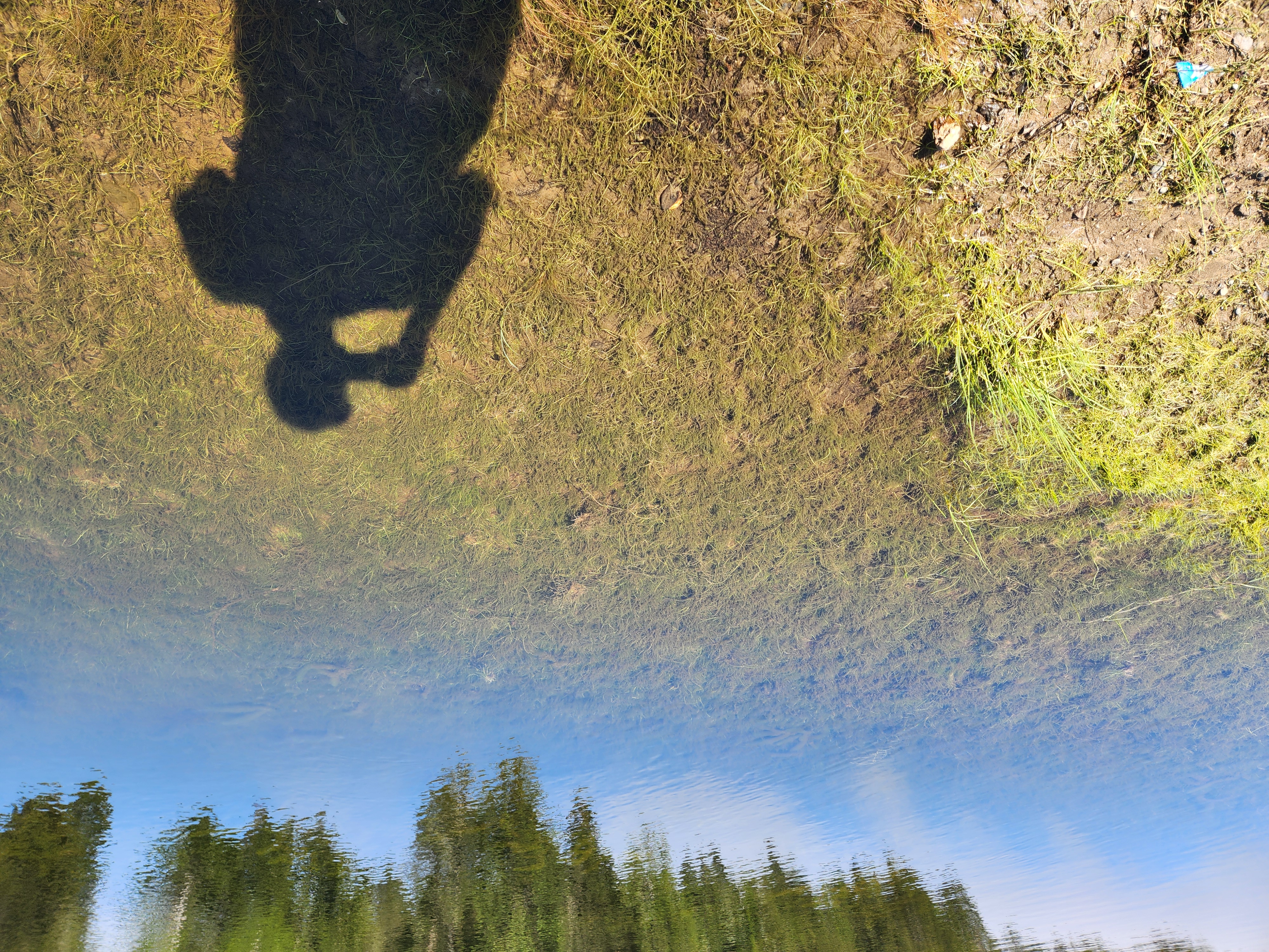 Summer at Siltcoos: Day 21