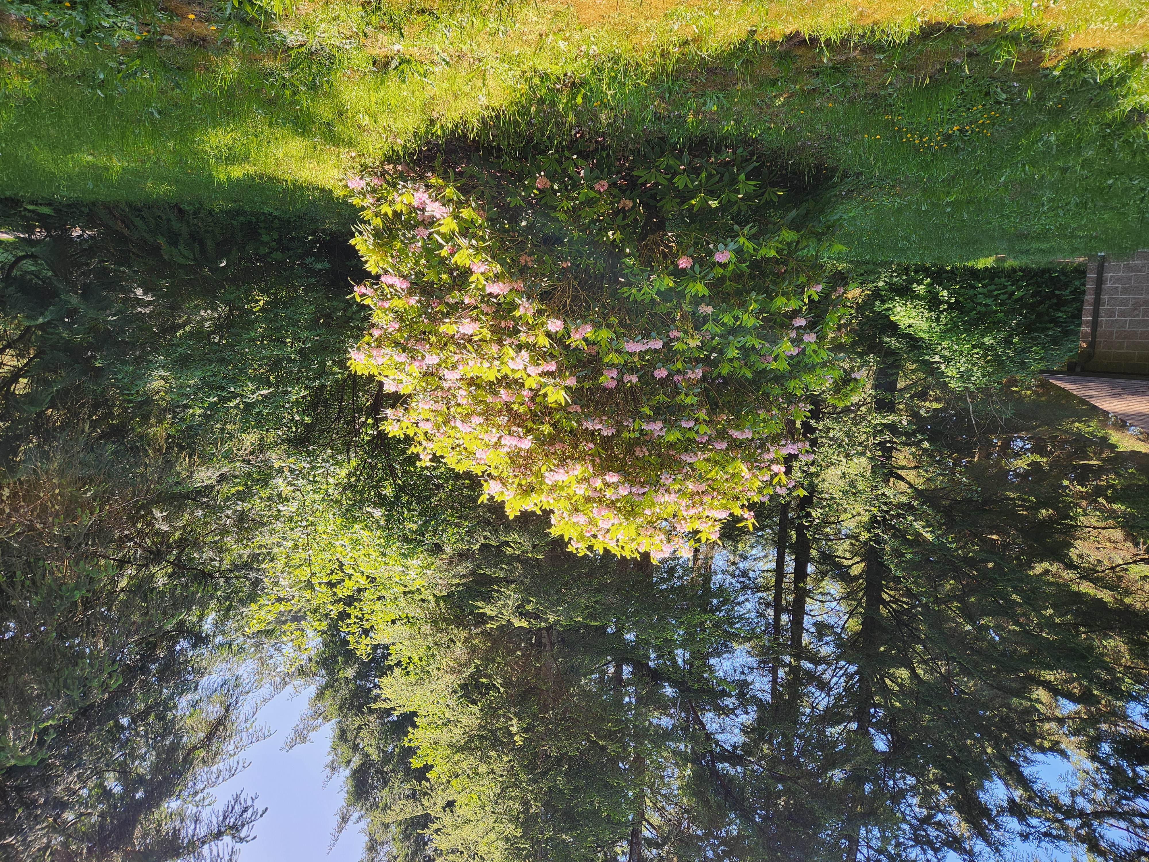 Summer at Siltcoos: Day 21