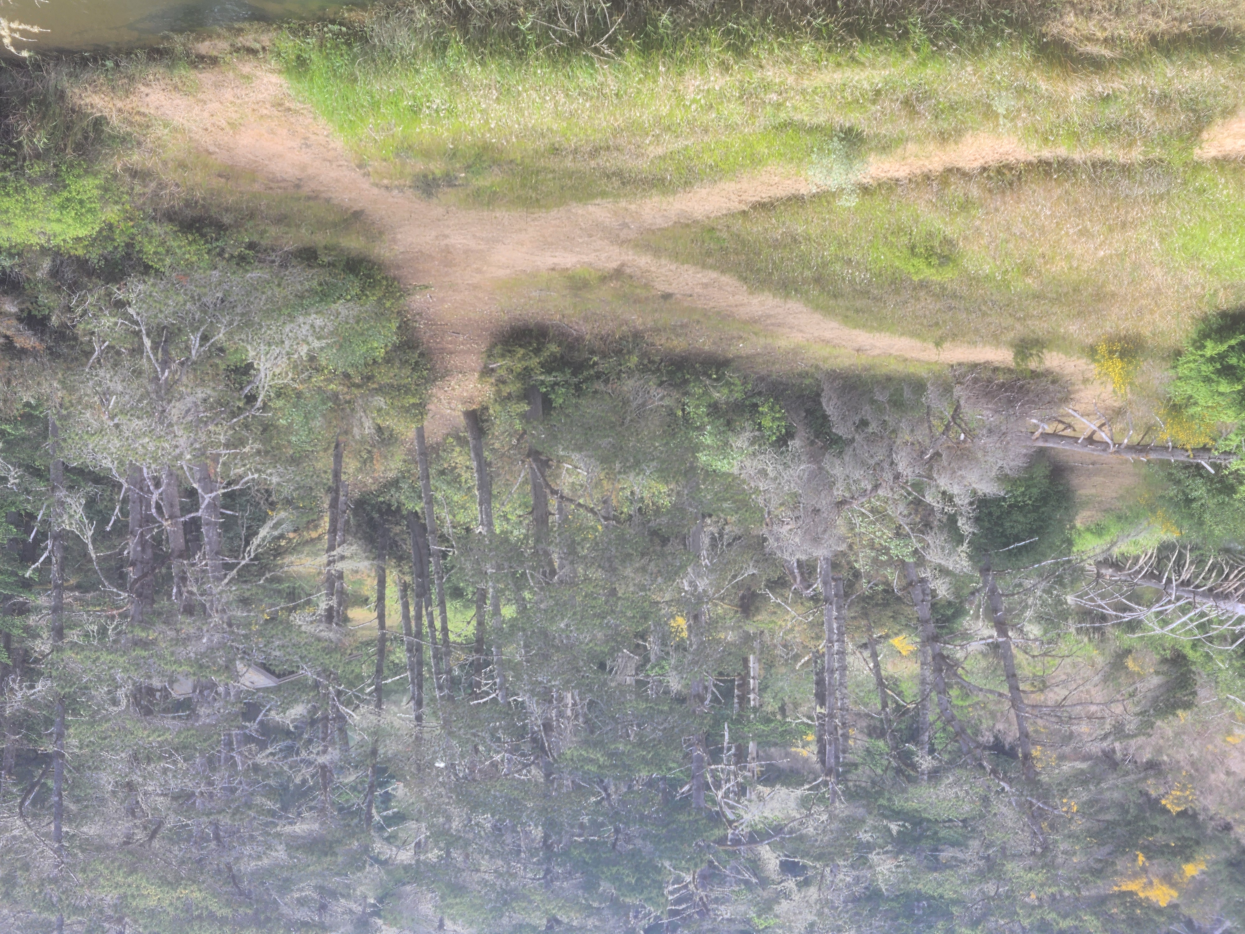 Summer at Siltcoos: Day 21