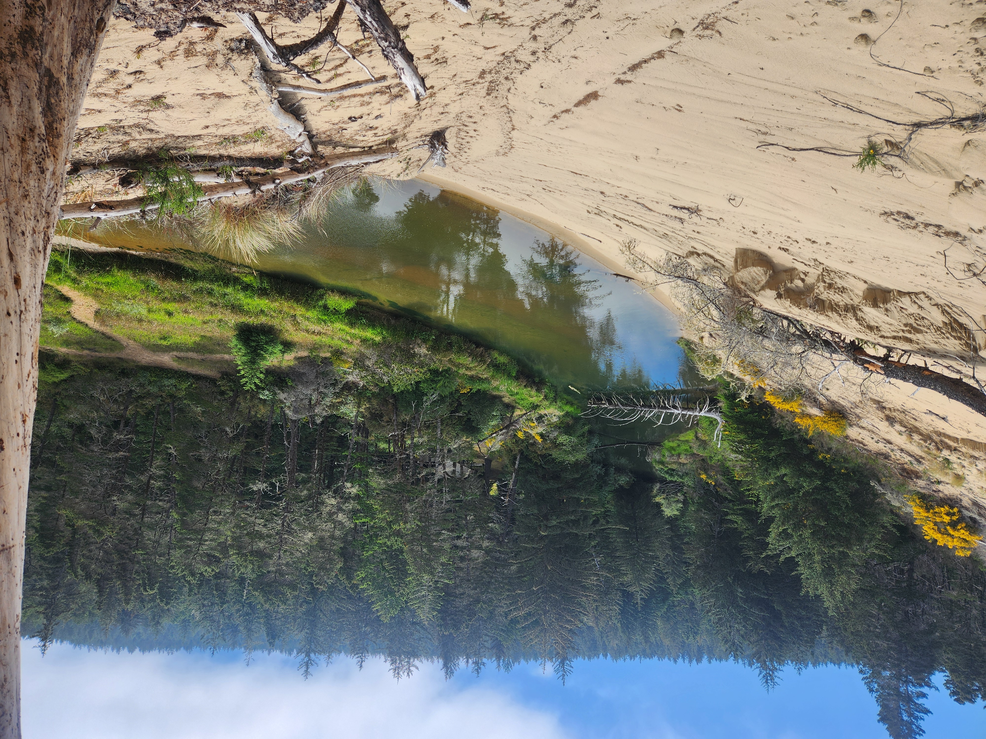 Summer at Siltcoos: Day 21