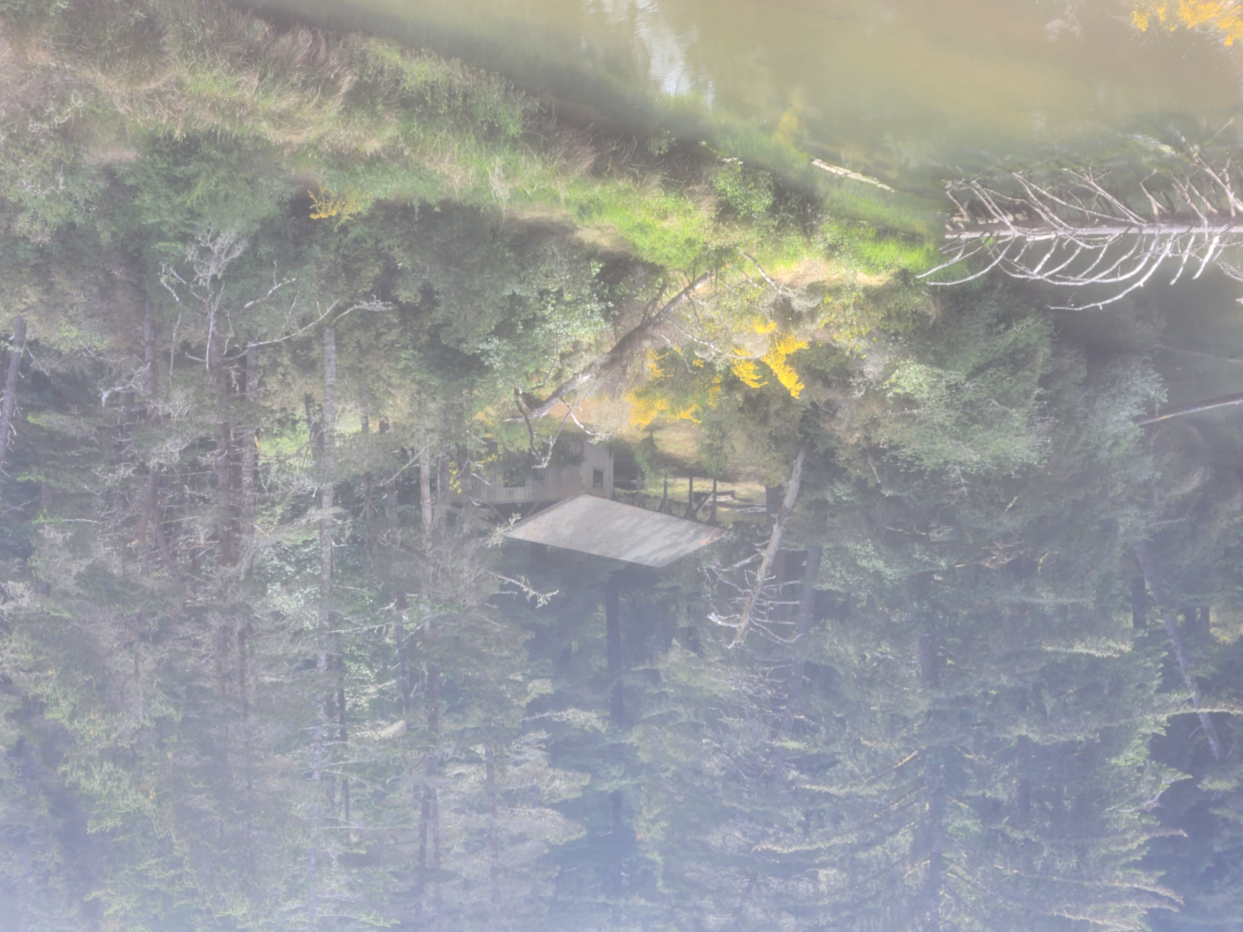Summer at Siltcoos: Day 21
