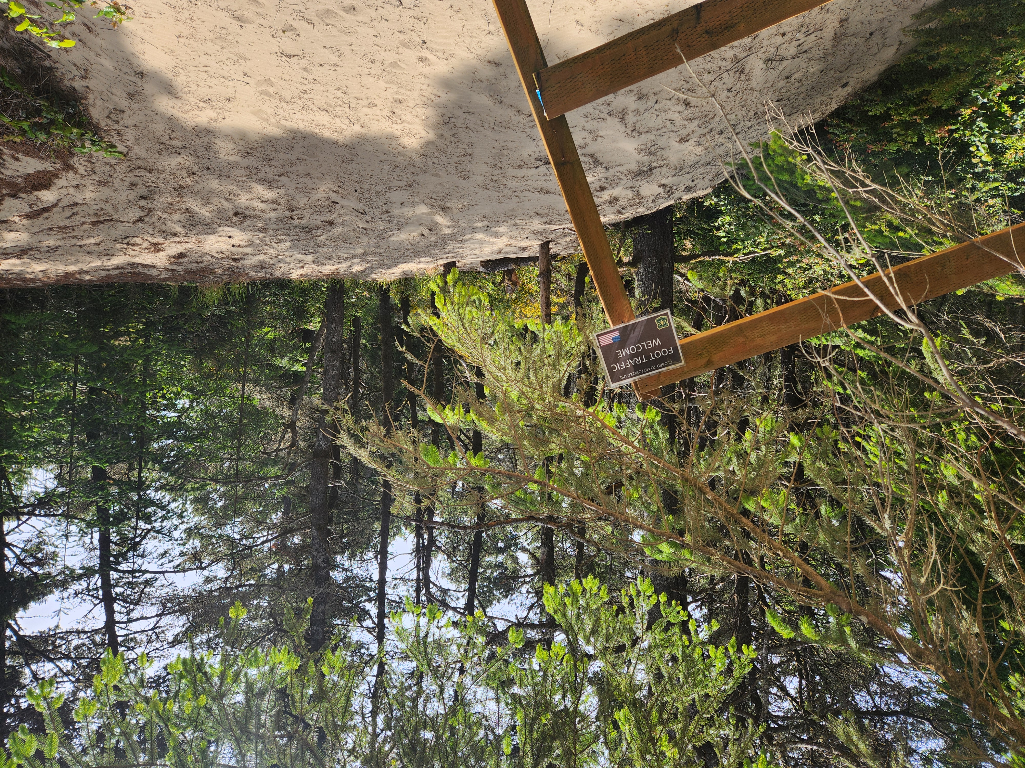 Summer at Siltcoos: Day 33: Photos