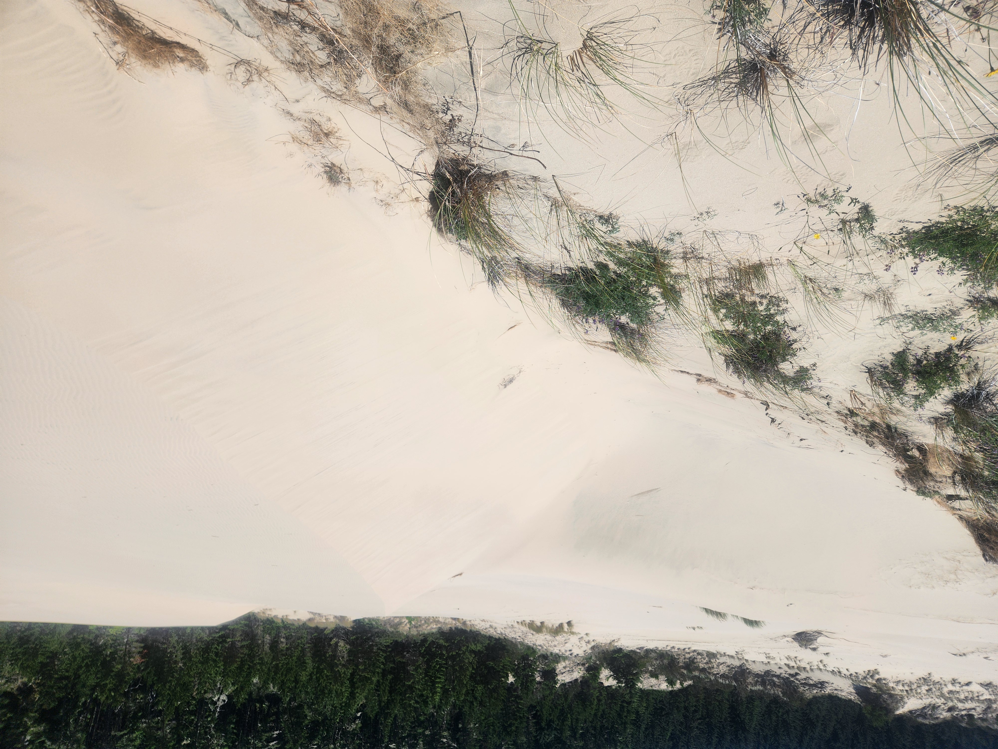 Tahkenitch to the Beach