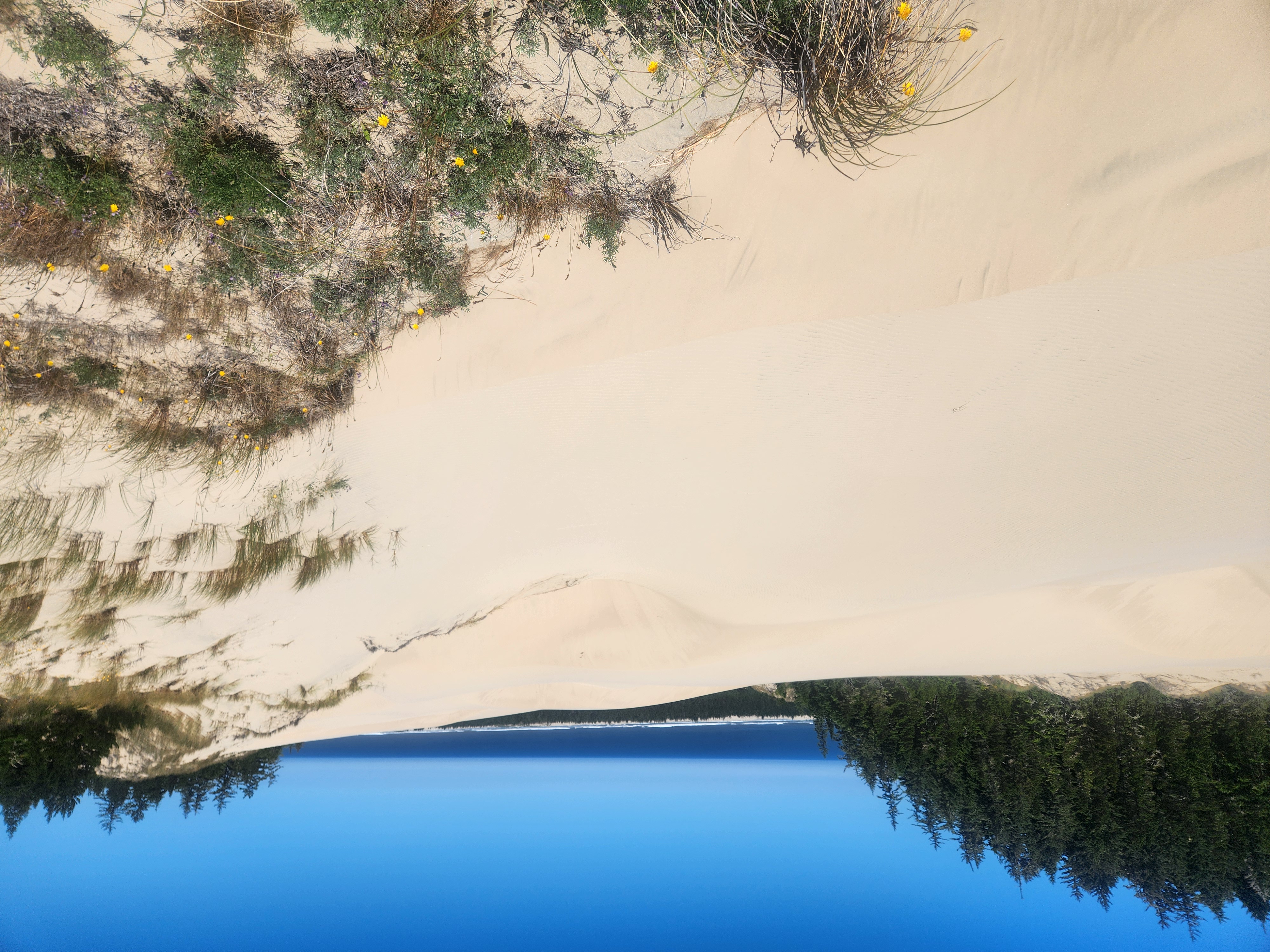 Tahkenitch to the Beach