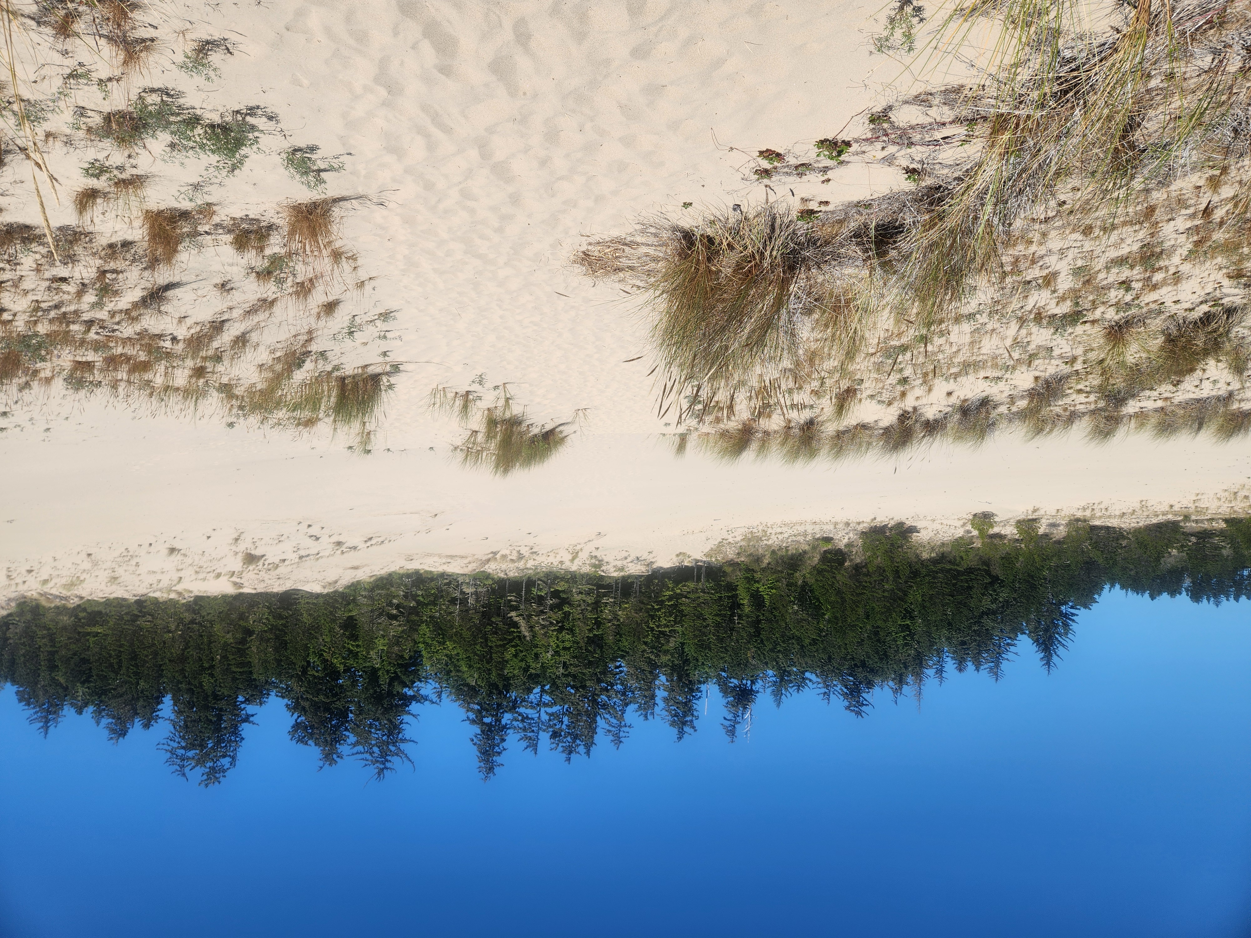 Tahkenitch to the Beach
