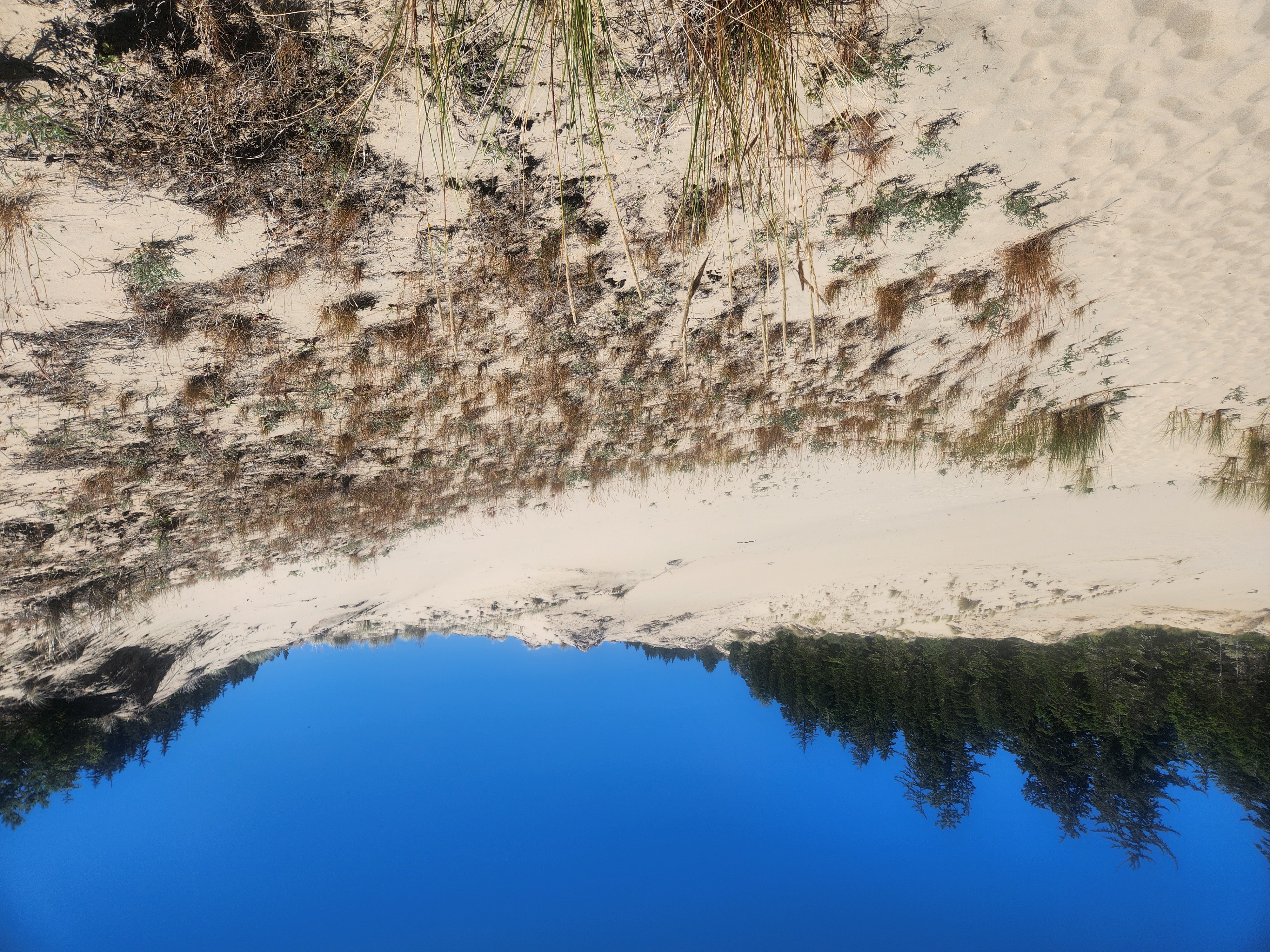 Tahkenitch to the Beach
