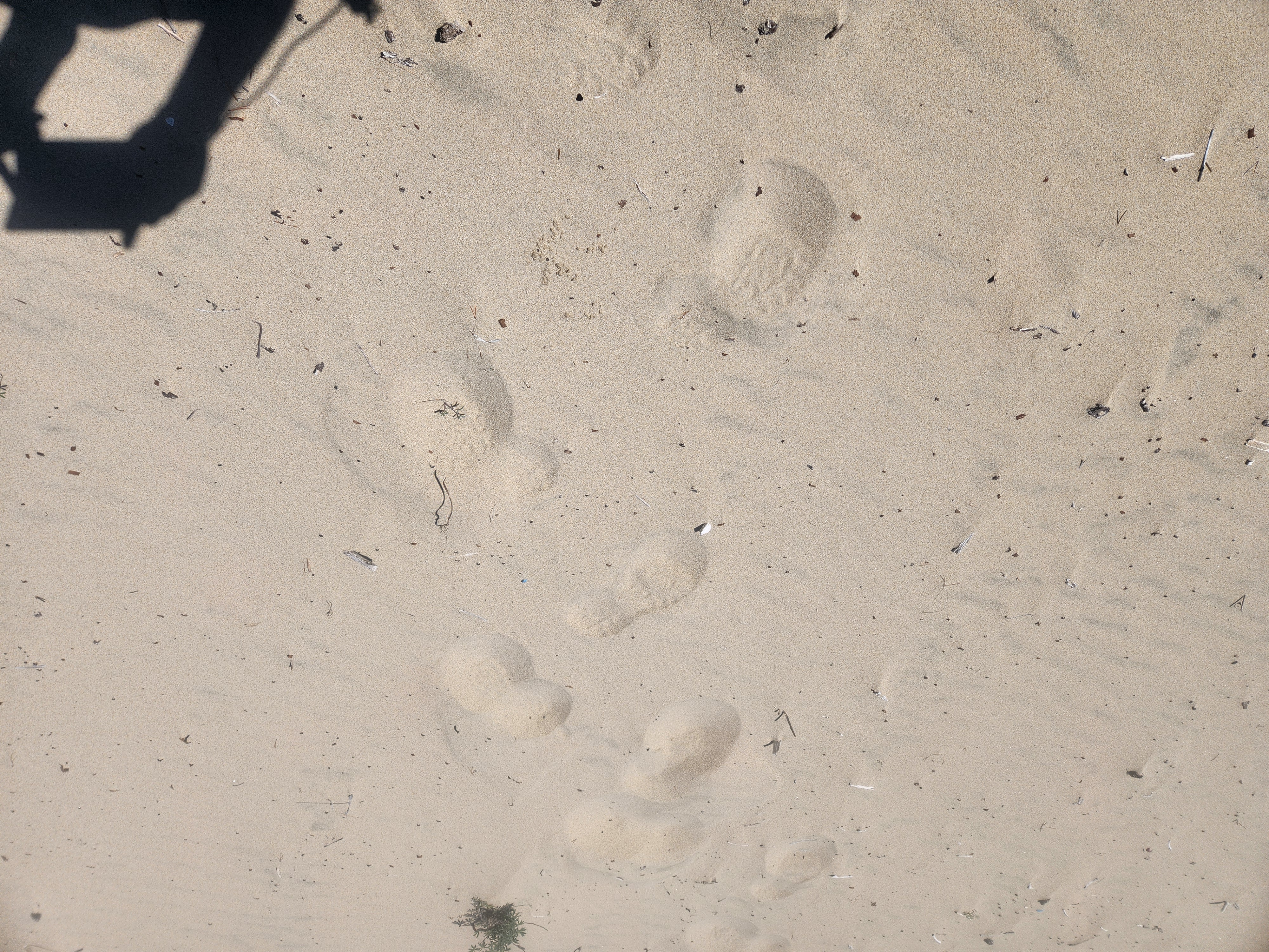 Tahkenitch to the Beach
